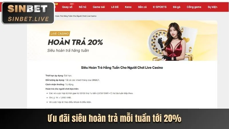 Quyền của người dùng gowin bắn cá